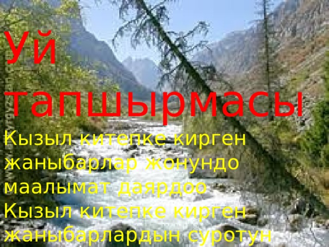 Баалоо «5» Алган билиминин мыкты кожоюну «4» Алган билиминин жакшы кожоюну «3» Кожоюн болууга аракет кылгандар 