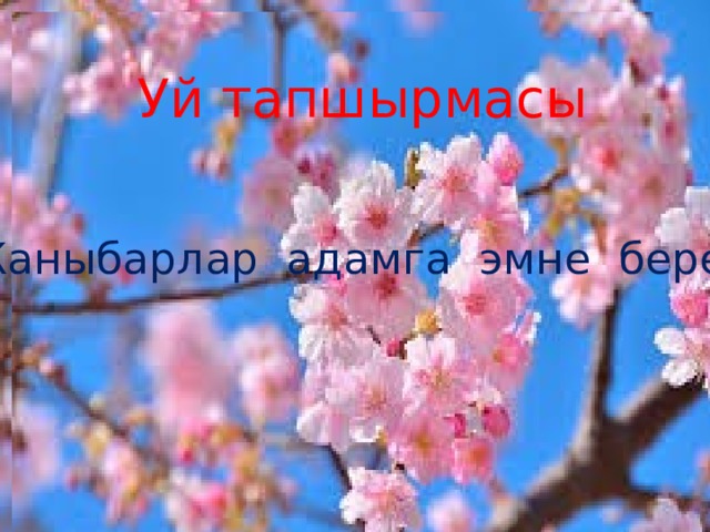 Алтын эреже Жылмаялы сабак коркун ачалы Тартип бузуп кетирбейликатаны Убакытка так бололу баарыбыз Сулуу жазып суктанталы жалпыны Тынч олтуруп эжей созун угалы Келечекке чон копуро куралы. 
