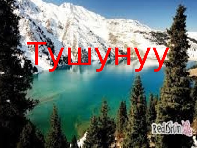  Билим Жартылыш деген эмне? Кызыл китеп. 