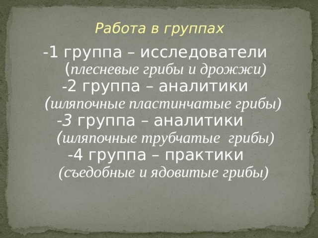 Работа в группах  -1 группа – исследователи  ( плесневые грибы и дрожжи) - 2 группа – аналитики   ( шляпочные пластинчатые грибы) -3 группа – аналитики   ( шляпочные трубчатые грибы) -4 группа – практики   (съедобные и ядовитые грибы) 