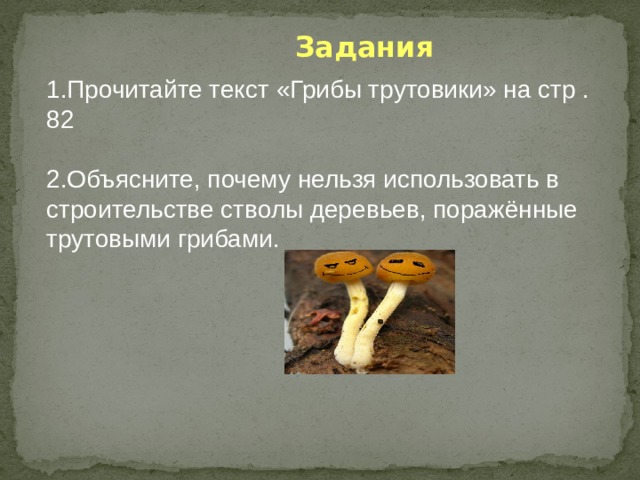  Задания 1.Прочитайте текст «Грибы трутовики» на стр . 82 2.Объясните, почему нельзя использовать в строительстве стволы деревьев, поражённые трутовыми грибами. 