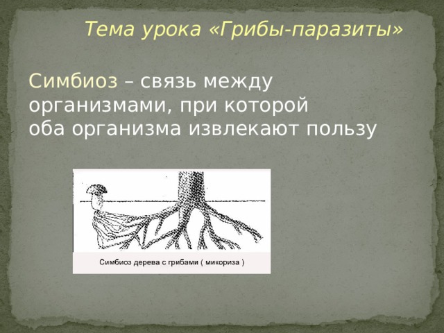 Тема урока «Грибы-паразиты» Симбиоз – связь между организмами, при которой оба организма извлекают пользу 