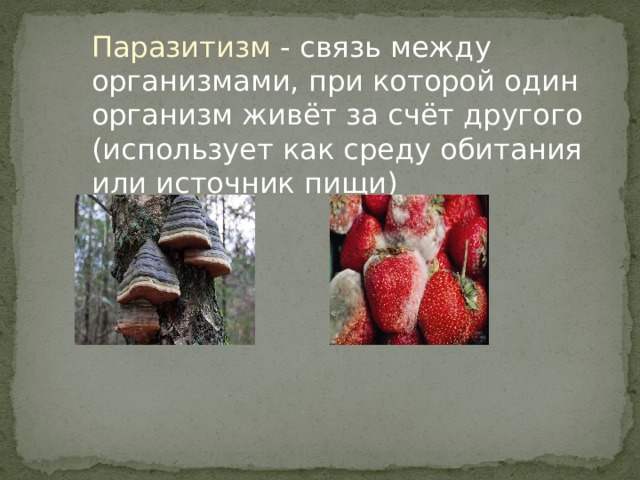 Паразитизм - связь между организмами, при которой один организм живёт за счёт другого (использует как среду обитания или источник пищи) 