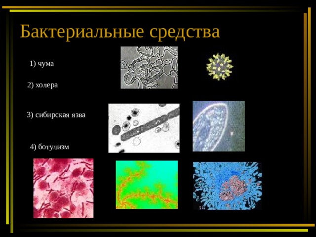 Бактериальные средства  1) чума 2) холера  3) сибирская язва  4) ботулизм  