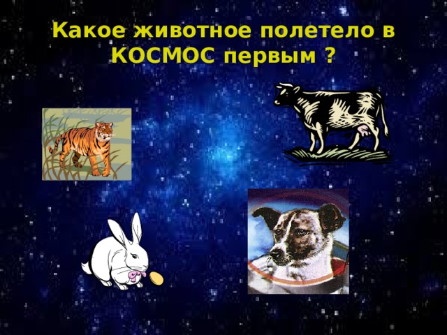 Какое животное полетело в КОСМОС первым ? 