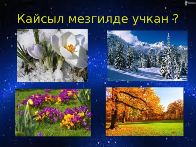 Кайсыл мезгилде учкан ? 
