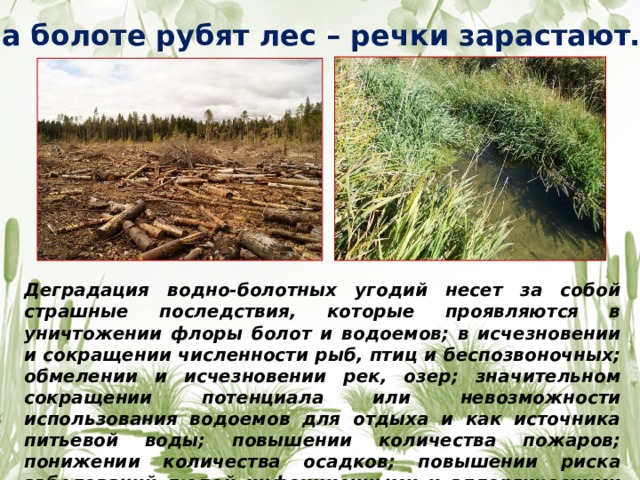 Возникновение болота. Деградация лесов. Деградация водных экосистем.