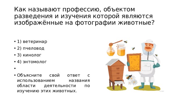 Как называют профессию, объектом разведения и изучения которой являются изображённые на фотографии животные? 1) ветеринар 2) пчеловод 3) кинолог 4) энтомолог   Объясните свой ответ с использованием названия области деятельности по изучению этих животных. 