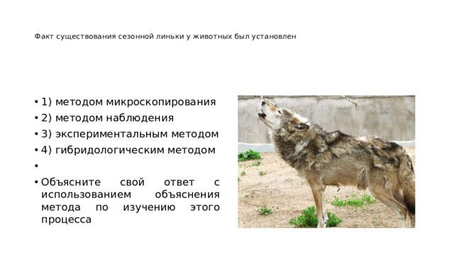   Факт существования сезонной линьки у животных был установлен      1) методом микроскопирования 2) методом наблюдения 3) экспериментальным методом 4) гибридологическим методом   Объясните свой ответ с использованием объяснения метода по изучению этого процесса 