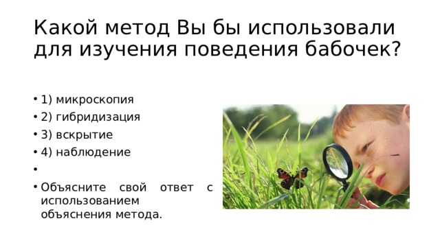 Какой метод позволил ученым установить эффективность. Какой метод вы бы использовали для изучения поведения бабочек?. Методы исследования бабочек. Поведение бабочки. Метод наблюдения в зоологии.
