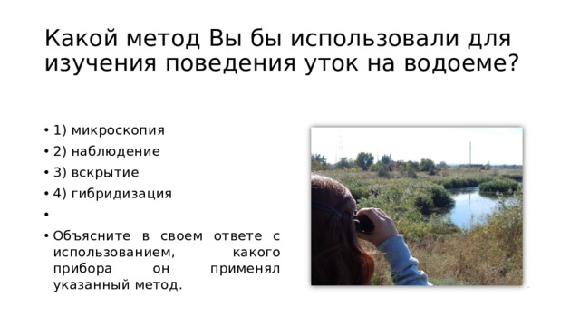 Какой метод Вы бы использовали для изучения поведения уток на водоеме? 1) микроскопия 2) наблюдение 3) вскрытие 4) гибридизация   Объясните в своем ответе с использованием, какого прибора он применял указанный метод. 