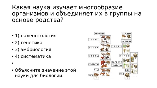 Наука изучающая многообразие животных