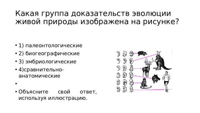 Установите соответствие между доказательством эволюции. Какая группа доказательств эволюции живой природы. Доказательства эволюции живой природы анатомические. Какая группа доказательств живой природы изображена на рисунке. Эмбриологические 2) сравнительно-анатомические.