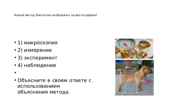   Какой метод биологии изображен на фотографии?      1) микроскопия 2) измерение 3) эксперимент 4) наблюдение   Объясните в своем ответе с использованием объяснения метода. 