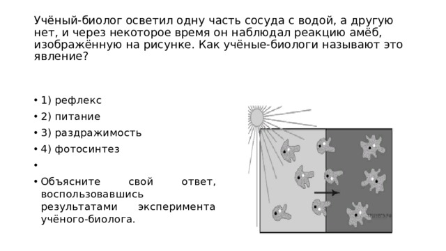 Рассмотрите явление изображенное на рисунке как ученые биологи называют это явление размножение