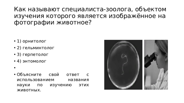 Гельминтолог 3 герпетолог 4 энтомолог