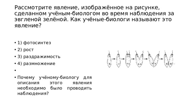 Рассмотрите явление изображенное на рисунке как ученые биологи называют это явление впр 8 класс