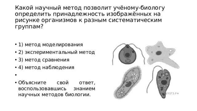 Рассмотрите явление изображенное на рисунке как ученые биологи называют это