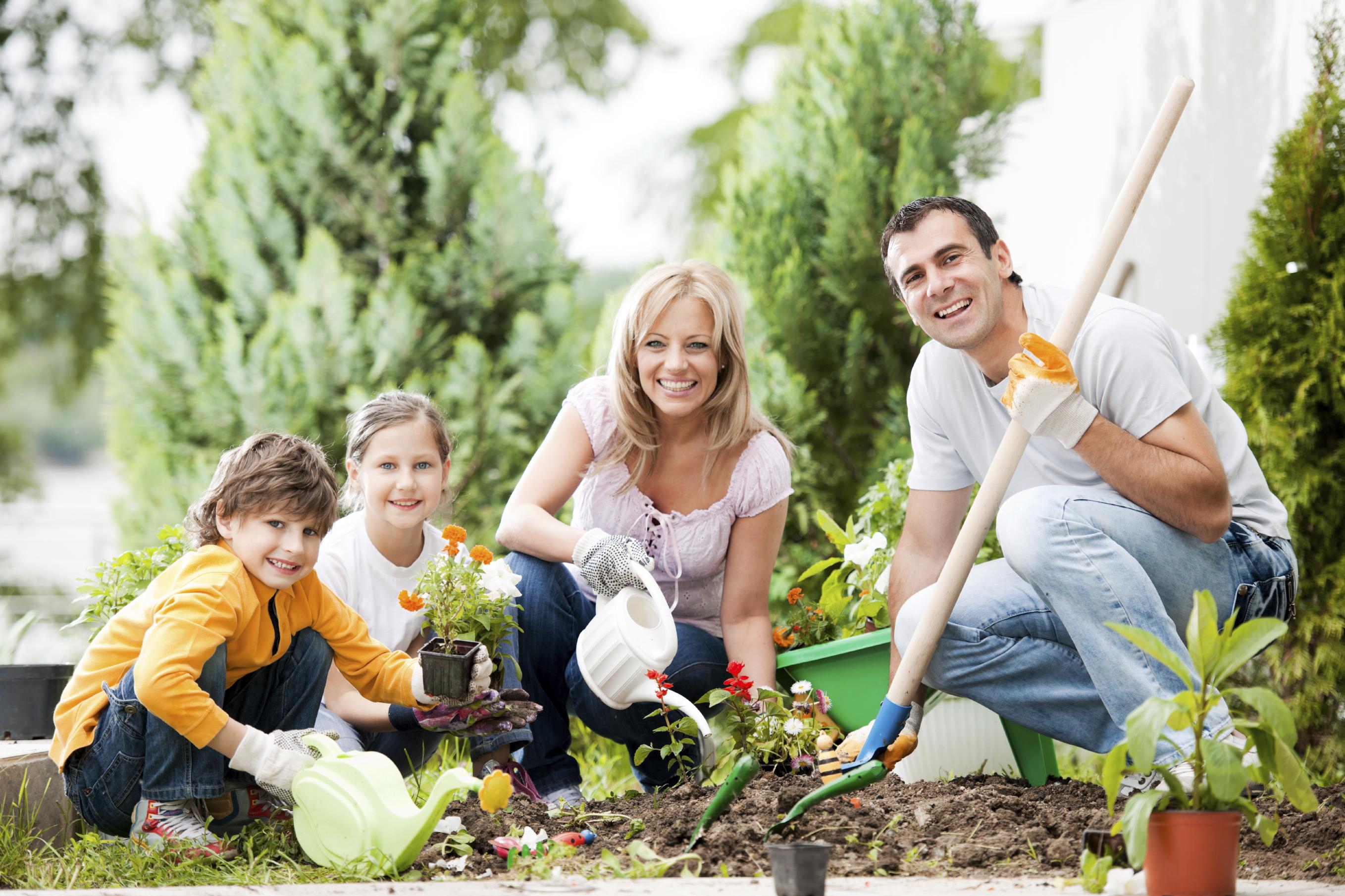 Выбираем вместе с семьей. Семья на огороде. Семья в саду. Счастливая семья в саду. Совместный труд в семье.