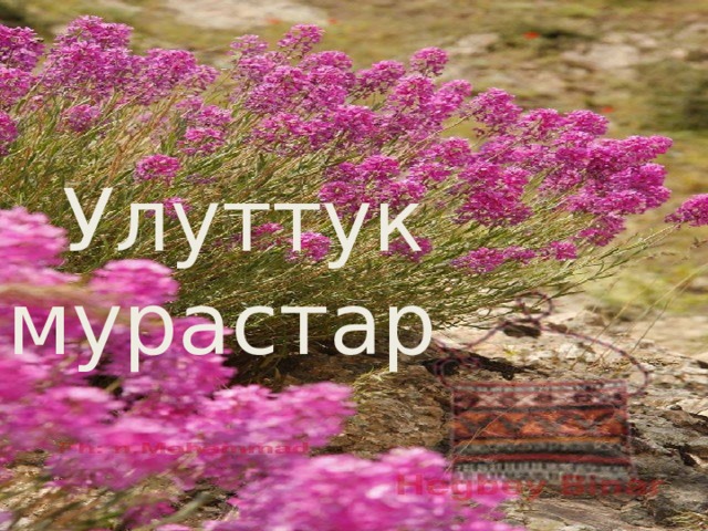  Улуттук мурастар 