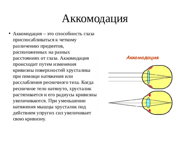 Исследование аккомодации зрения проект