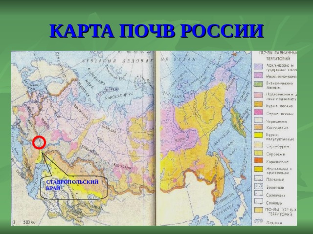 Типы почв контурная карта. Карта почв атлас 8 класс. Карта основные почвы России 8 класс. Атлас 8 класс почвенная карта. Карта почвы России 8 класс география.