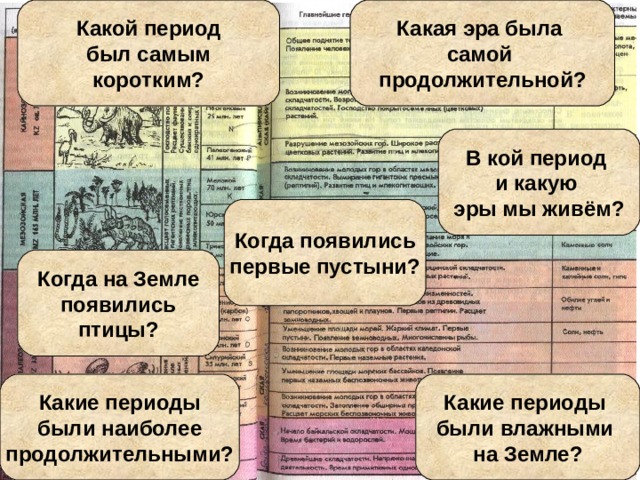 В каком периоде мы живем в экологическом отношении выберите один ответ