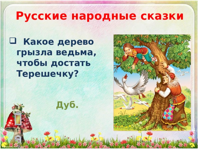 Русские народные сказки  Какое дерево грызла ведьма, чтобы достать Терешечку? Дуб. 
