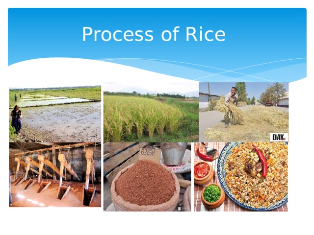 Process of Rice 