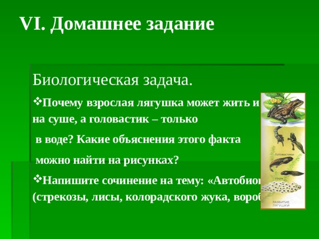 VI. Домашнее задание   Биологическая задача. Почему взрослая лягушка может жить и в воде и на суше, а головастик – только  в воде? Какие объяснения этого факта  можно найти на рисунках? Напишите сочинение на тему: «Автобиография» (стрекозы, лисы, колорадского жука, воробья).  