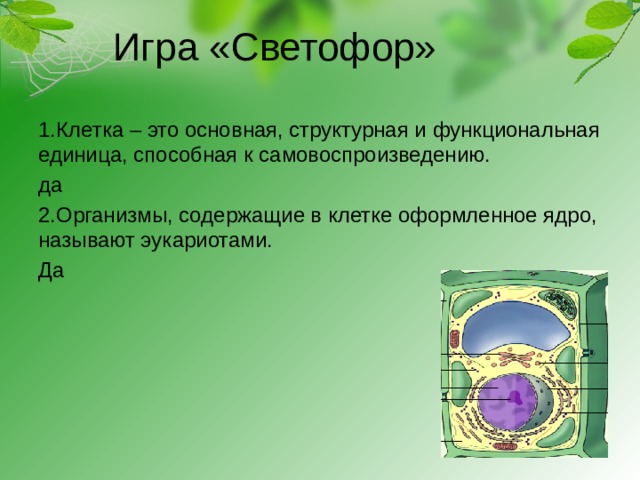 Игра «Светофор» 1.Клетка – это основная, структурная и функциональная единица, способная к самовоспроизведению. да 2.Организмы, содержащие в клетке оформленное ядро, называют эукариотами. Да 