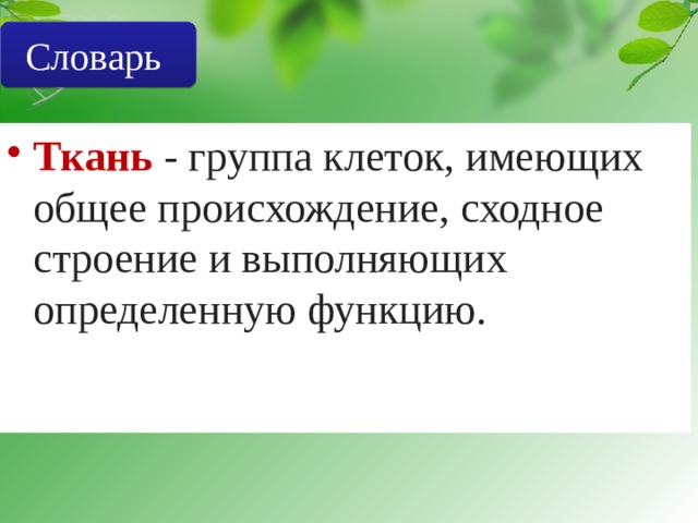 Словарь Ткань - группа клеток, имеющих общее происхождение, сходное строение и выполняющих определенную функцию. 