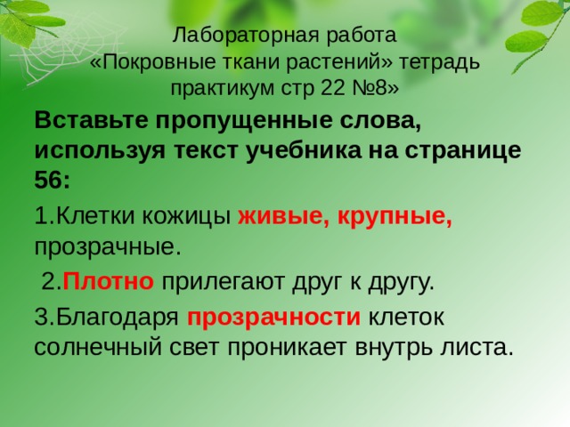 Лабораторная работа  «Покровные ткани растений» тетрадь практикум стр 22 №8» Вставьте пропущенные слова, используя текст учебника на странице 56: 1.Клетки кожицы живые,  крупные, прозрачные.  2. Плотно прилегают друг к другу. 3.Благодаря прозрачности клеток солнечный свет проникает внутрь листа. 