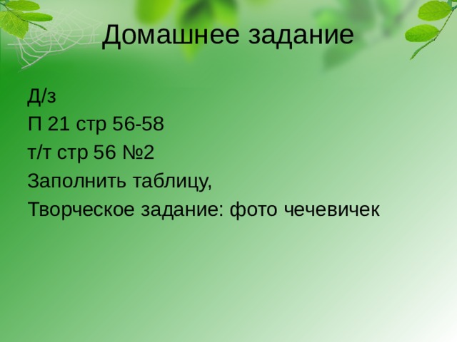 Домашнее задание Д/з П 21 стр 56-58 т/т стр 56 №2 Заполнить таблицу, Творческое задание: фото чечевичек 