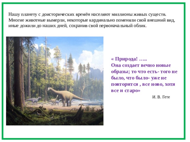 Составьте план предполагаемой экскурсии на тему древние обитатели нашей планеты