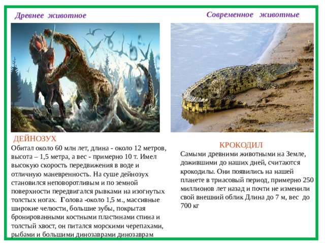 Составьте план предполагаемой экскурсии на тему древние обитатели нашей планеты