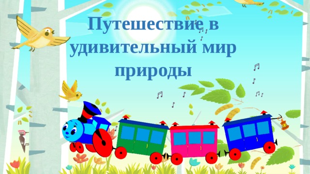 Путешествие в удивительный мир природы 