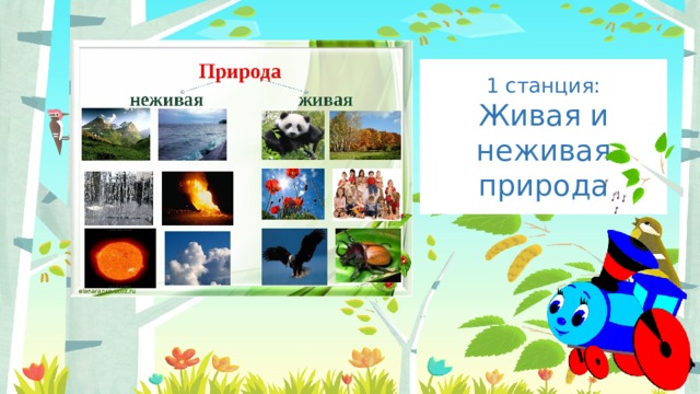 1 станция: Введите сюда текст вопроса Живая и неживая природа 