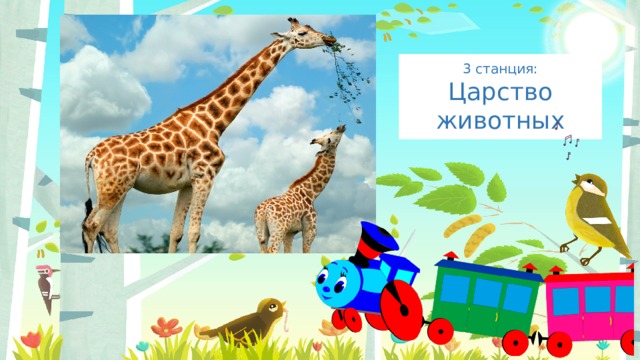 3 станция: Введите сюда текст вопроса Царство животных 