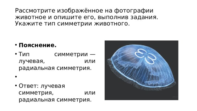 Рассмотрите изображенное на фотографии