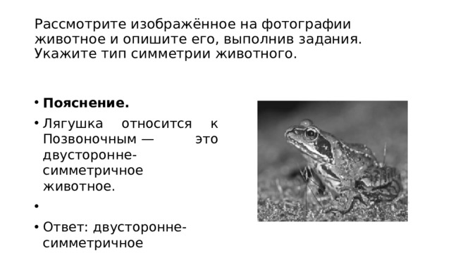 Рассмотрите животное изображенное на рисунке ответьте на вопросы в какой среде обитания живет рысь