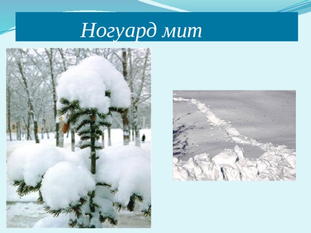  Ногуард мит 