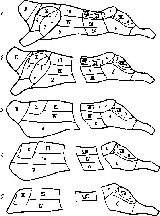 Разделка говядины схема