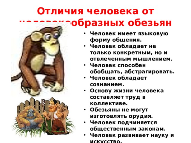 Отличие человека от обезьяны