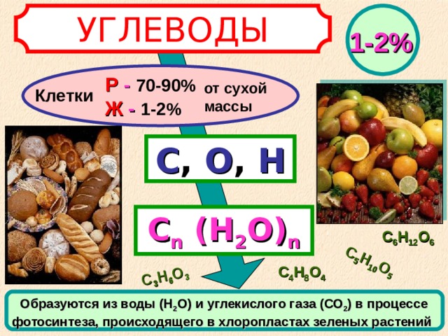 С 5 Н 10 О 5 С 3 Н 6 О 3 УГЛЕВОДЫ 1-2% Р - 70-90%  Ж - 1-2% от сухой массы Клетки С ,  О ,  Н С n  (Н 2 О) n С 6 Н 12 О 6 С 4 Н 8 О 4 Образуются из воды (Н 2 О) и углекислого газа (СО 2 ) в процессе фотосинтеза, происходящего в хлоропластах зеленых растений 