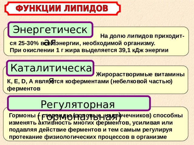 Энергетическая  На долю липидов приходит-ся 25-30% всей энергии, необходимой организму.  При окислении 1 г жира выделяется 39,1 кДж энергии Каталитическая  Жирорастворимые витамины К, Е, D , А являются коферментами (небелковой частью) ферментов Регуляторная (гормональная) Гормоны – стероиды (половые, надпочечников) способны изменять активность многих ферментов, усиливая или подавляя действие ферментов и тем самым регулируя протекание физиологических процессов в организме  