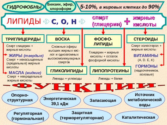 Бензин, эфир, хлороформ 5-10%,  в жировых клетках до  90%  ГИДРОФОБНЫ спирт (глицерин) жирные кислоты ЛИПИДЫ    С ,  О ,  Н   ТРИГЛИЦЕРИДЫ ФОСФО-ЛИПИДЫ ВОСКА СТЕРОИДЫ Спирт холестерол + жирные кислоты Спирт глицерин + жирные кислоты Сложные эфиры высших жирных кис-лот и одноатомных высокомолекулярных спиртов Глицерин + жирные кислоты + остаток фосфорной кислоты ЖИРЫ (твердые) ВИТАМИНЫ (А, D.  E , К) Спирт + ненасыщенные (предельные) жирные кислоты ГОРМОНЫ (надпочечников, половые) ГЛИКОЛИПИДЫ ЛИПОПРОТЕИНЫ МАСЛА (жидкие) Спирт + непредельные жирные кислоты Липиды + белки Липиды + углеводы Источник метаболической воды Опорно-структурная Энергетическая 39,1 кДж Запасающая Защитная (терморегуляторная) Регуляторная (гормональная) Каталитическая 