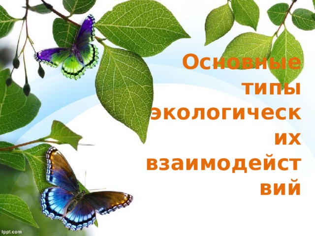 Основные типы экологических взаимодействий 