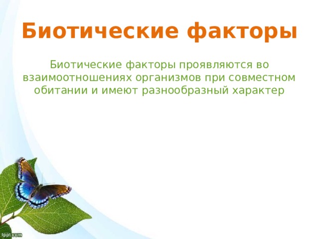 Биотические факторы Биотические факторы проявляются во взаимоотношениях организмов при совместном обитании и имеют разнообразный характер 