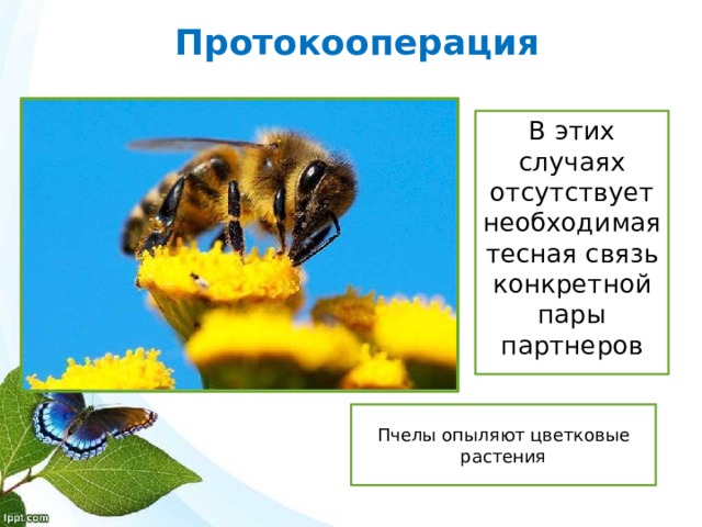 Почему развитие любви показано в тесной связи с картинами природы